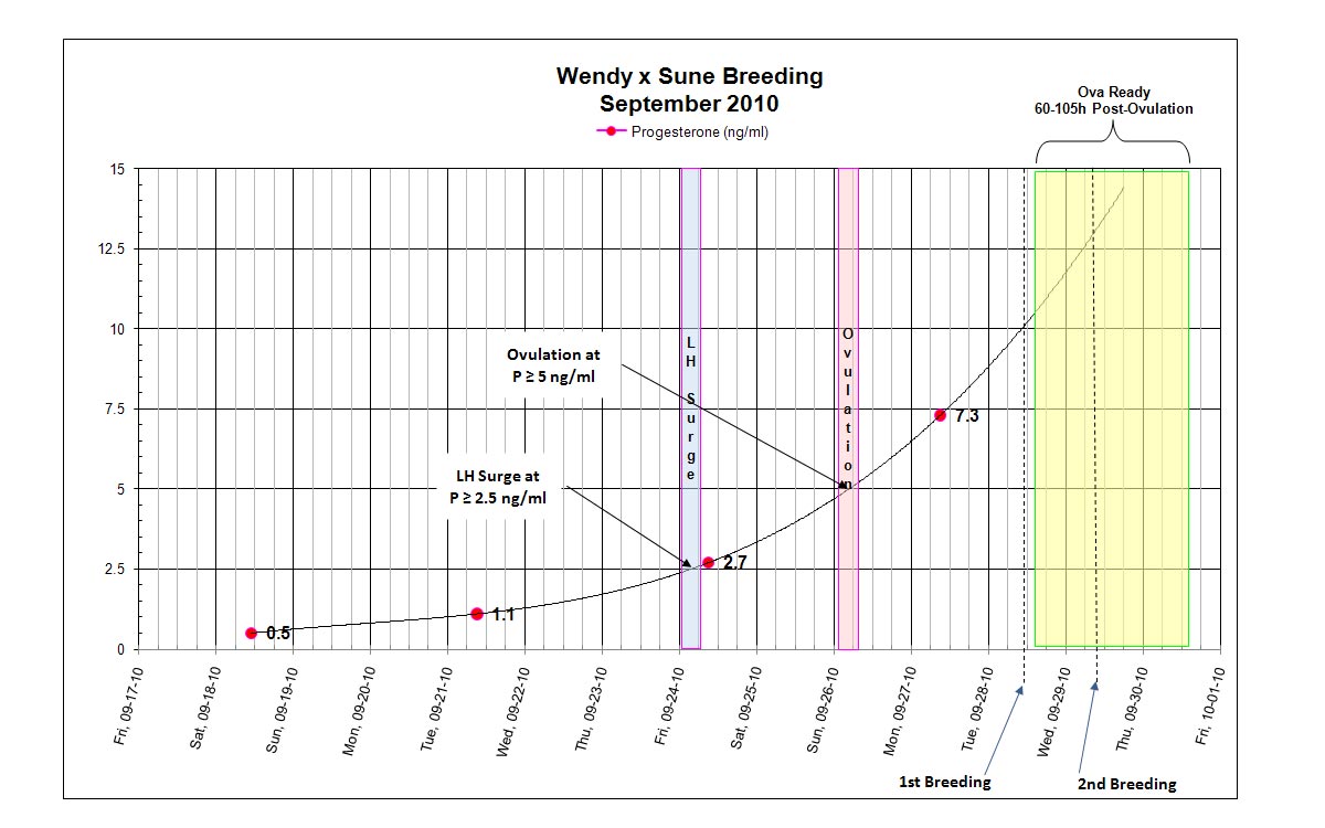 Canine Progesterone Levels Chart