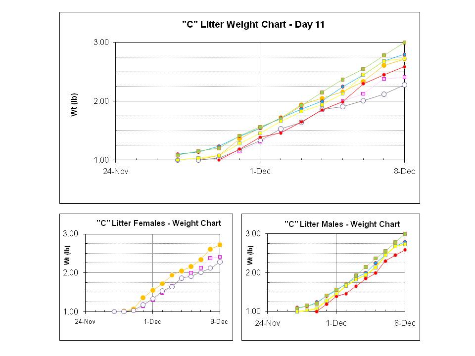 Flat Coated Retriever Weight Chart